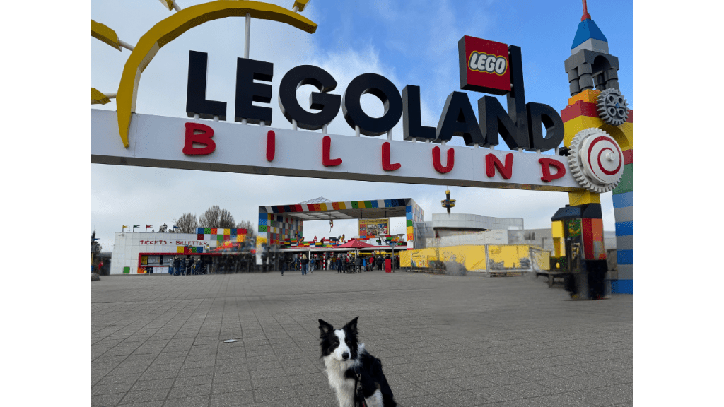 Taking My Reactive Dog To A Theme&nbsp;Park